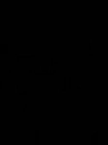 Meet your Posher, Connor